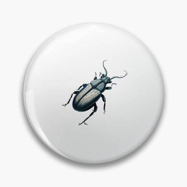 Aperçu de l'œuvre coléoptère, Isopode, Isopode, dessinés à la main, Entomologiste, Entomologie créée et vendue par RedArtsDesign.
