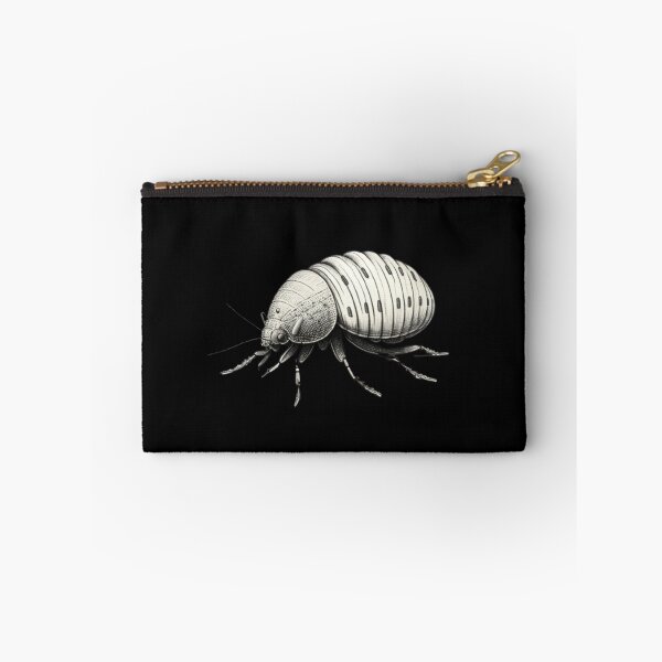Aperçu de l'œuvre Entomologie, Entomologiste, Isopode, Isopode créée et vendue par RedArtsDesign.