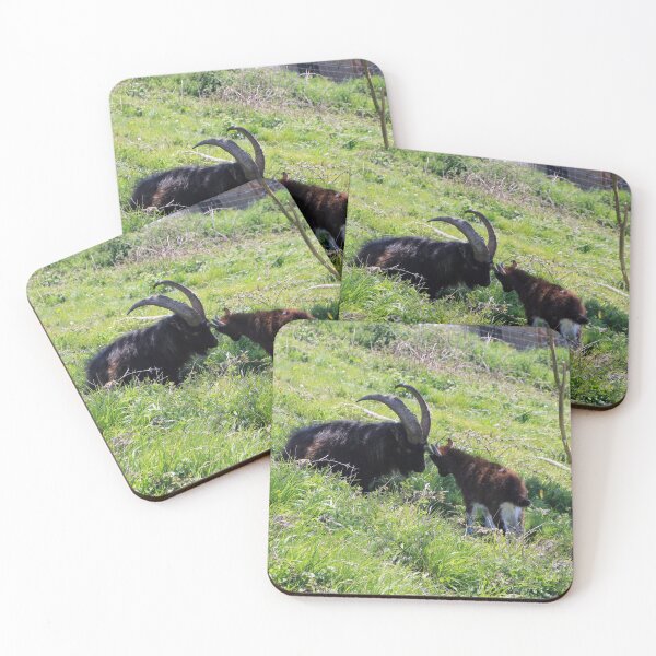 Item preview, Cabra y su cabrito designed and sold by pinkal.