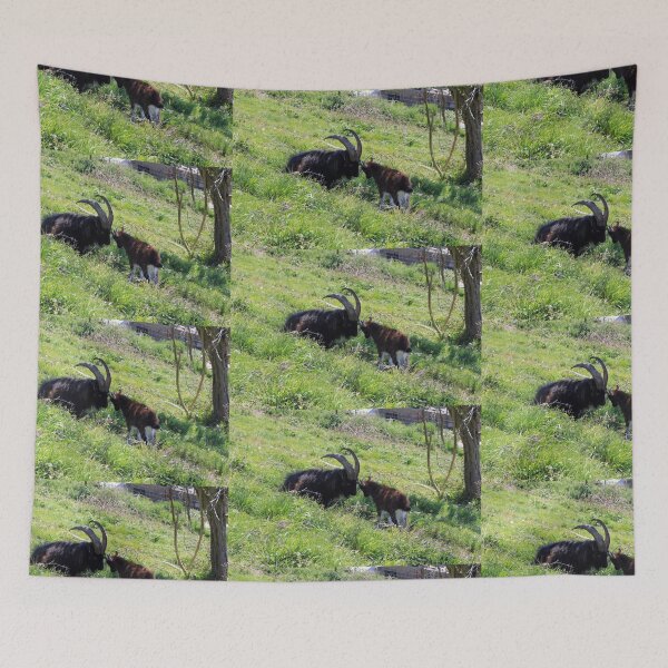 Item preview, Cabra y su cabrito designed and sold by pinkal.