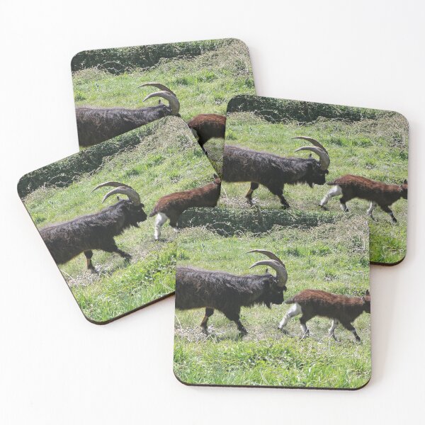 Item preview, Cheviot Nanny Goat and Kid designed and sold by pinkal.