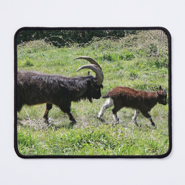 Item preview, Cheviot Nanny Goat and Kid designed and sold by pinkal.