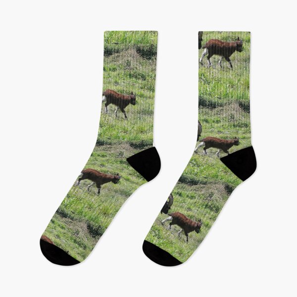 Item preview, Cheviot Nanny Goat and Kid designed and sold by pinkal.