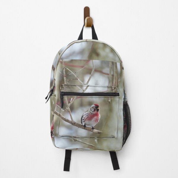 Item preview, Oh that red. Mealy redpoll designed and sold by Jouko Lehto Photography.