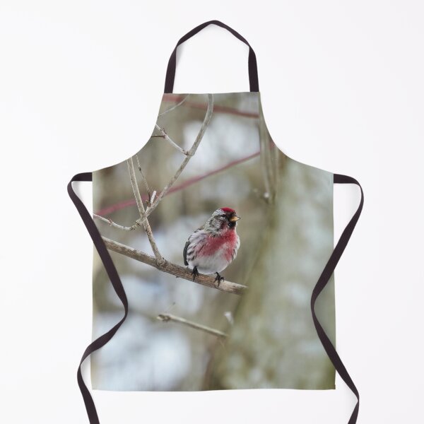 Item preview, Oh that red. Mealy redpoll designed and sold by Jouko Lehto Photography.