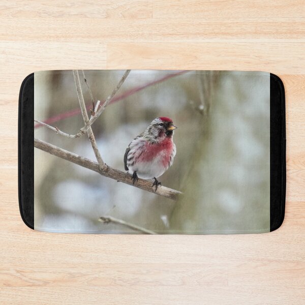 Item preview, Oh that red. Mealy redpoll designed and sold by Jouko Lehto Photography.