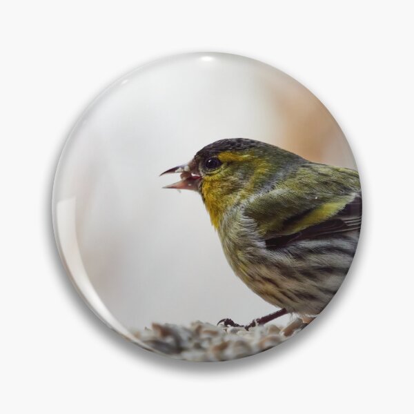 Item preview, Enjoying the seeds. European siskin designed and sold by Jouko Lehto Photography.