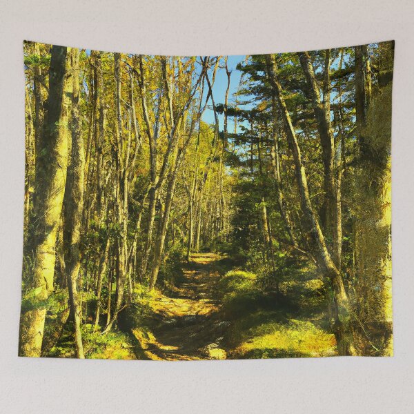 Item preview, Forest designed and sold by bwalkama.