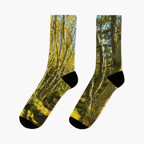 Item preview, Forest designed and sold by bwalkama.