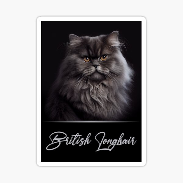Item preview, British Longhair Portrait designed and sold by Best-Breeds.