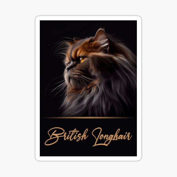 Item preview, Elegant British Longhair designed and sold by Best-Breeds.
