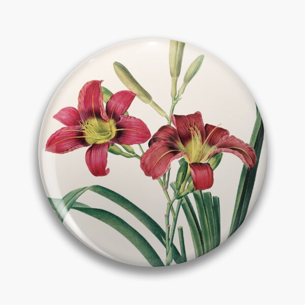 Item preview, Hemerocallis Fulva | Hemerocalle Fauve | Pierre-Joseph Redouté designed and sold by LaMadeleine.