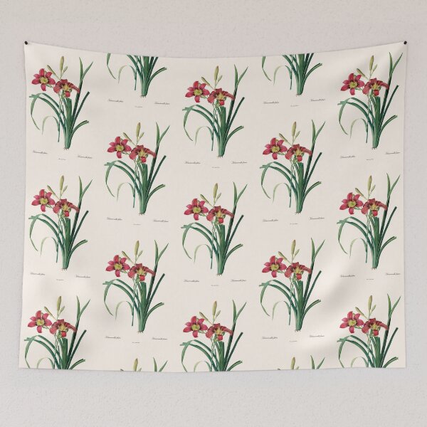 Item preview, Hemerocallis Fulva | Hemerocalle Fauve | Pierre-Joseph Redouté designed and sold by LaMadeleine.