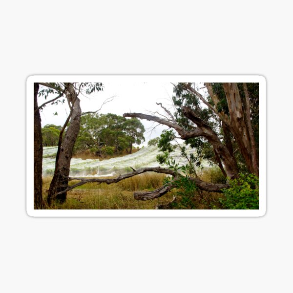 Item preview, Nets on the Sem by Adelaide artist Avril Thomas at Magpie Springs designed and sold by MagpieSprings.
