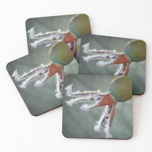 Item preview, Frosted Rosehip designed and sold by Viv Thompson Photography .
