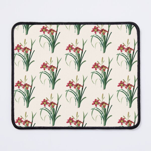 Item preview, Hemerocallis Fulva | Hemerocalle Fauve | Pierre-Joseph Redouté designed and sold by LaMadeleine.
