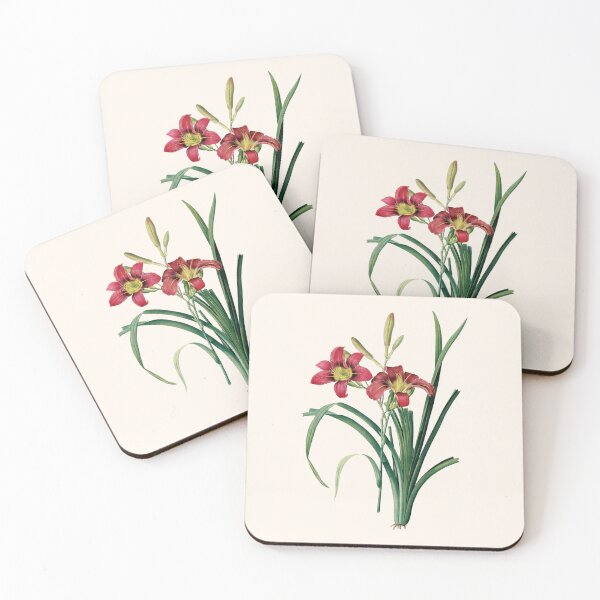 Item preview, Hemerocallis Fulva | Hemerocalle Fauve | Pierre-Joseph Redouté designed and sold by LaMadeleine.
