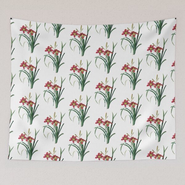 Item preview, Hemerocallis Fulva | Hemerocalle Fauve | Pierre-Joseph Redouté designed and sold by LaMadeleine.