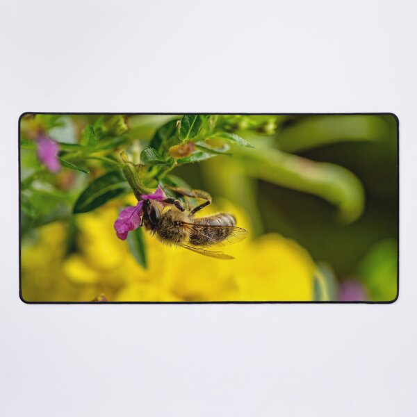 Item preview, Happy Honeybee designed and sold by Kay Brewer.