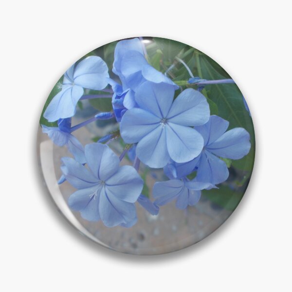 Artikelvorschau, Beautiful Blue Flowers - Original Photography entworfen und verkauft von JulienneJc.
