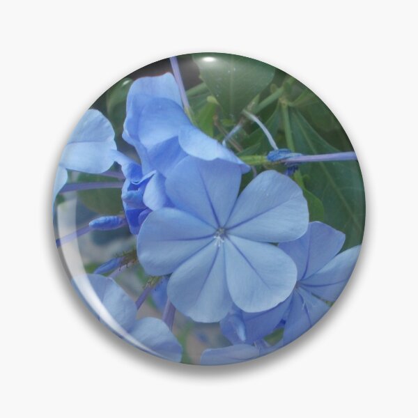 Artikelvorschau, Beautiful Blue Flowers Vers. 2 - Original Photography entworfen und verkauft von JulienneJc.