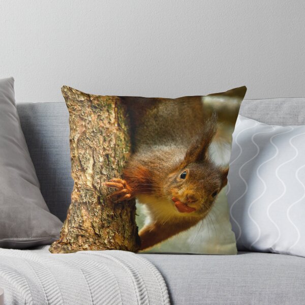 Aperçu de l'œuvre Cheeky Red Squirrel créée et vendue par Martin Lawrence.