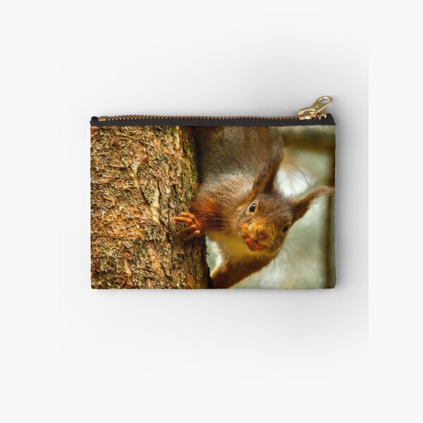 Aperçu de l'œuvre Cheeky Red Squirrel créée et vendue par Martin Lawrence.
