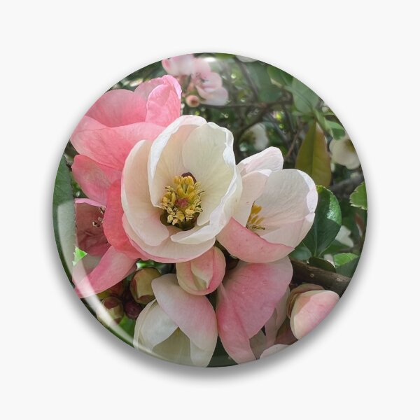 Item preview, Spring is here, say it in Flowers! designed and sold by Jennco60.