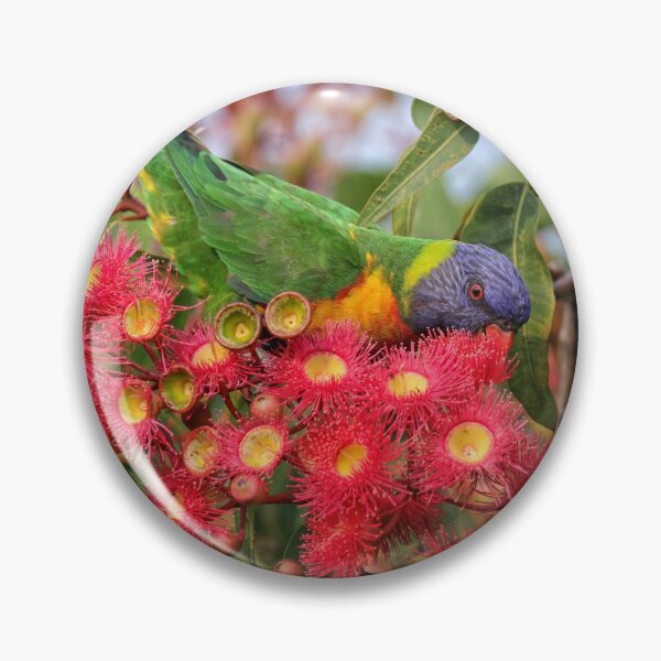 Item preview, Rainbow Lorikeet - Trichoglossus moluccanus designed and sold by ausnative.