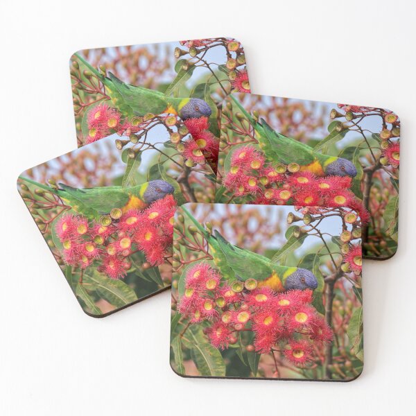 Item preview, Rainbow Lorikeet - Trichoglossus moluccanus designed and sold by ausnative.