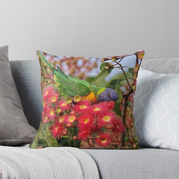 Item preview, Rainbow Lorikeet - Trichoglossus moluccanus designed and sold by ausnative.