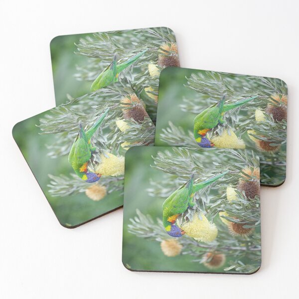 Item preview, Rainbow Lorikeet - Trichoglossus moluccanus designed and sold by ausnative.