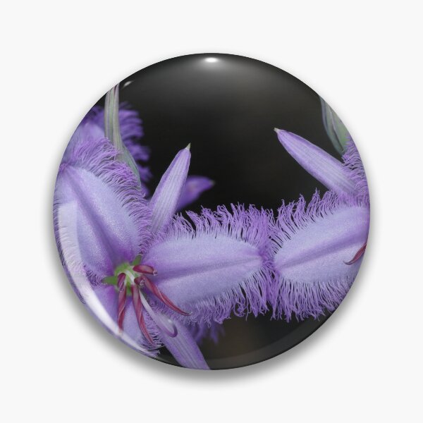 Item preview, Thysanotus tuberosus - Common Fringe Lily designed and sold by ausnative.