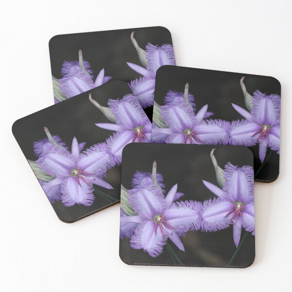 Item preview, Thysanotus tuberosus - Common Fringe Lily designed and sold by ausnative.