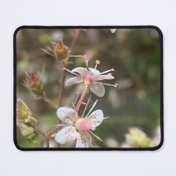 Item preview, saxifragia flower designed and sold by Jennco60.