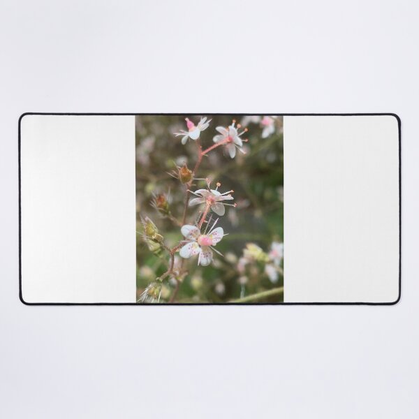 Item preview, saxifragia flower designed and sold by Jennco60.