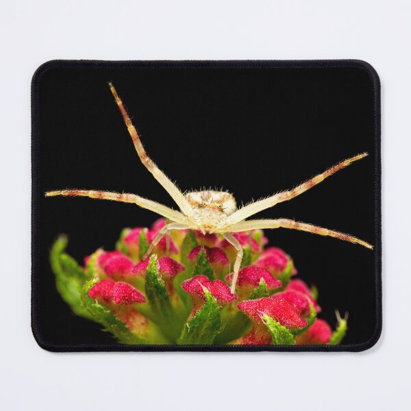 Item preview, Ambush designed and sold by Stephen Carmickle.