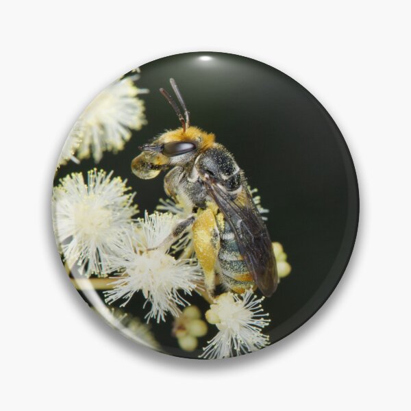 Item preview, Lipotriches australica - Green and Gold Nomina Bee designed and sold by ausnative.
