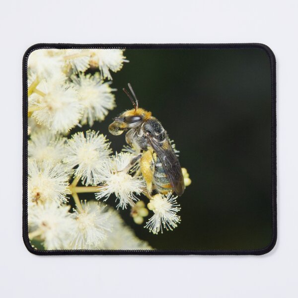 Item preview, Lipotriches australica - Green and Gold Nomina Bee designed and sold by ausnative.