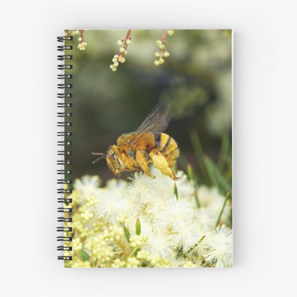 Item preview, Amegilla bombiformis - Teddy Bear Bee designed and sold by ausnative.