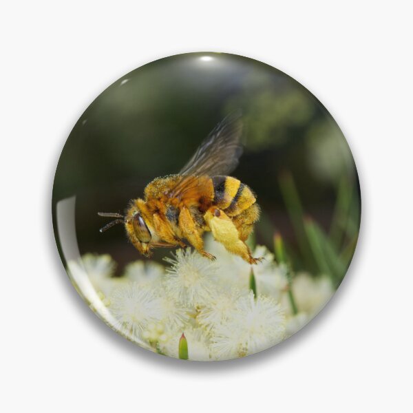 Item preview, Amegilla bombiformis - Teddy Bear Bee designed and sold by ausnative.