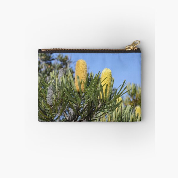 Item preview, Banksia attenuata - Candlestick Banksia designed and sold by ausnative.