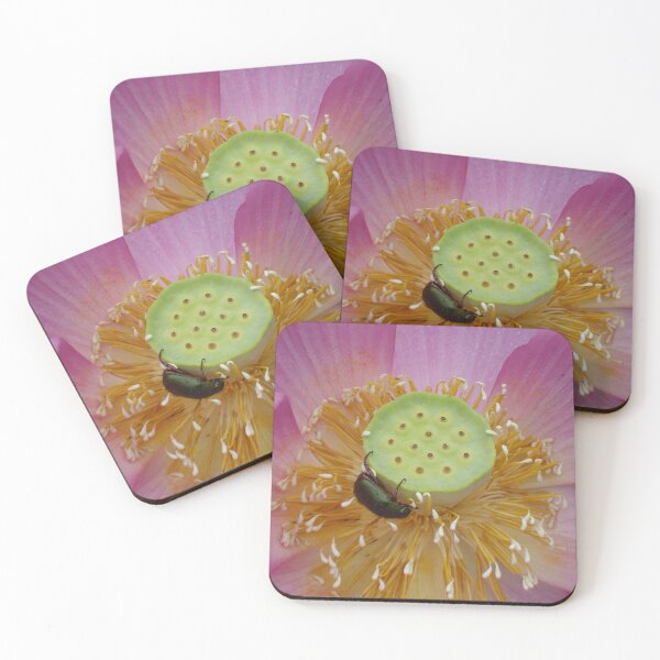 Item preview, The Beetle Lotus Flower designed and sold by Rob Goldston.