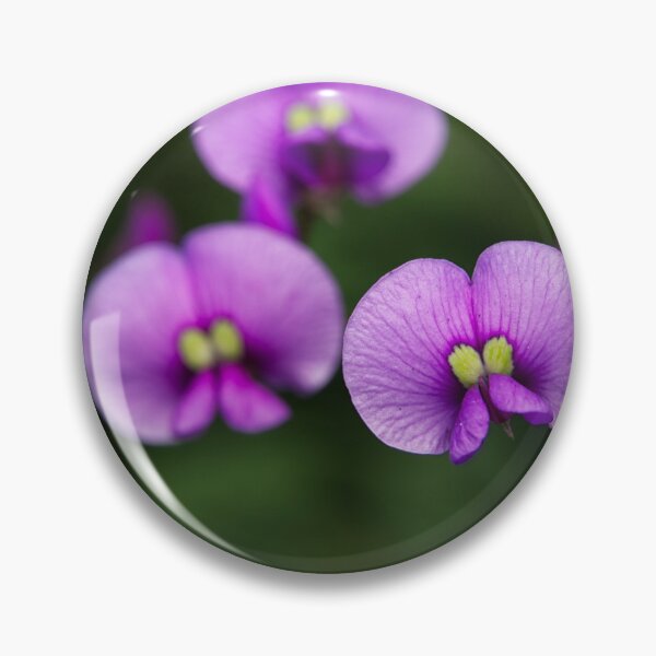 Item preview, Hardenbergia violacea - Purple Coral Pea designed and sold by ausnative.