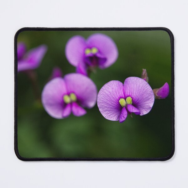 Item preview, Hardenbergia violacea - Purple Coral Pea designed and sold by ausnative.