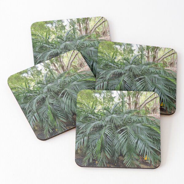 Item preview, Mount Coot-tha Botanic Gardens designed and sold by OCNau.