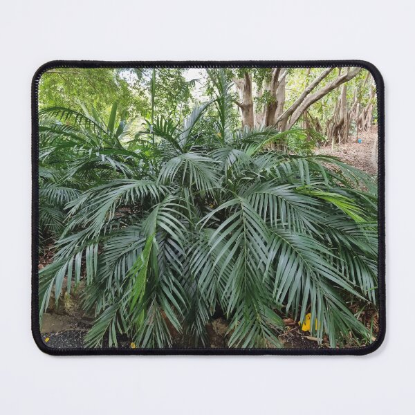 Item preview, Mount Coot-tha Botanic Gardens designed and sold by OCNau.