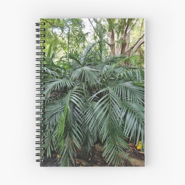 Item preview, Mount Coot-tha Botanic Gardens designed and sold by OCNau.