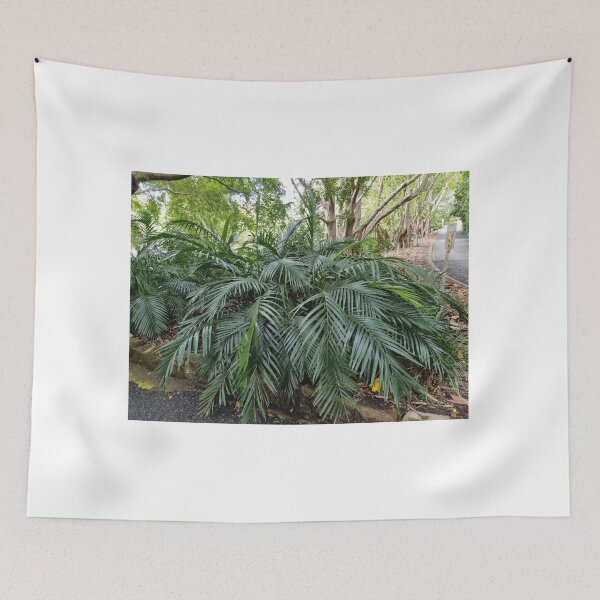 Item preview, Mount Coot-tha Botanic Gardens designed and sold by OCNau.