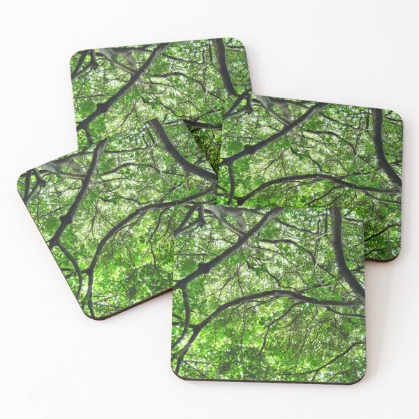 Item preview, Mount Coot-tha Botanic Gardens designed and sold by OCNau.